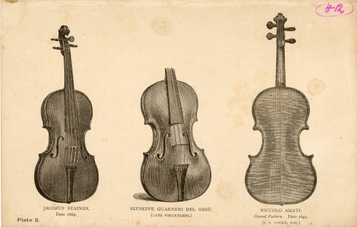 PPMHP 142764: Ilustracija violina iz publikacije • Antonio Stradivari 1734. (W. A. T. Amrest, ESQ.) / The Gillott Strad 1715. (Geo. Haddock, ESQ.) / Giuseppe Guarneri del Gesu 1734. (W. A. T. Amrest, ESQ.)