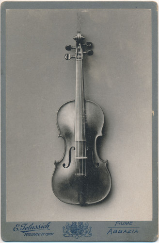 PPMHP 142825: Fotografija prednje strane violine