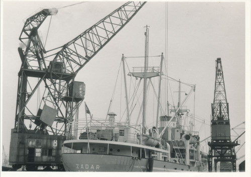 PPMHP 138430: Pogled na krmu broda Zadar u Antwerpenu