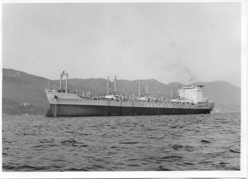 PPMHP 137304: Brod Drava u plovidbi