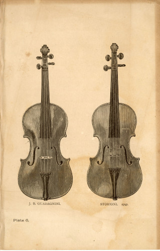 PPMHP 142763: Ilustracija violina iz publikacije • J. B. Guadagnini. / Storioni1797.