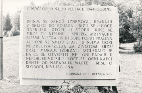 PPMHP 128578: Spomenik stradalima na Matić poljani
