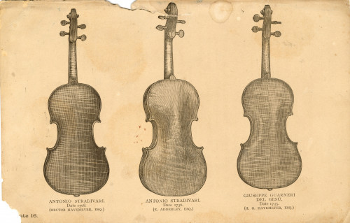 PPMHP 142762: Ilustracija violina iz publikacije • Antonio Stradivari 1708. (Hector Havemeyer, ESQ.) / Antonio Stradivari 1736. (E. Adderley, ESQ.) / Giuseppe Guarneri del Gesu 1735. (H. O. Havemeyer, ESQ.)