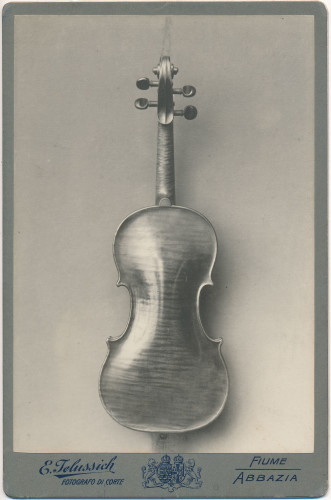 PPMHP 142826: Fotografija zadnje strane violine