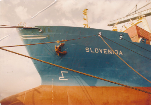 PPMHP 141491: Pogled na pramac broda Slovenija
