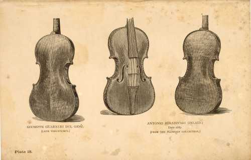 PPMHP 142766: Ilustracija violina iz publikacije • Giuseppe Guarneri del Gesu 1735. (late vieuxtemps) / Antonio Stradivari (inlaid.)1687. (From the Plowdwn Collection.)