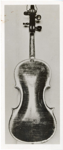 PPMHP 143720/5: Fotografija zadnje strane viole A. G. Amati 1620.