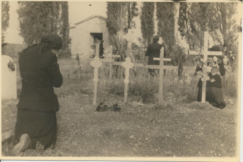 PPMHP 132698: Partizansko groblje u Pazinu
