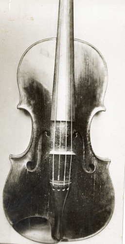 PPMHP 143720/4: Fotografija prednje strane viole A. G. Amati 1620.
