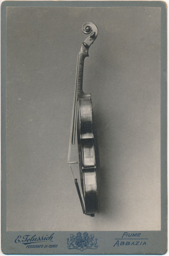 PPMHP 142827: Fotografija bočne strane violine