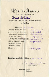 PPMHP 114108: Mjesečna propusnica za siječanj 1913.