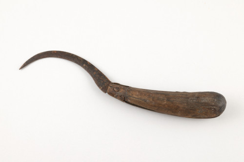 PPMHP 145159: Kosir