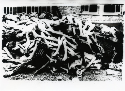 PPMHP 148522: Tijela stradalih u koncentracijskom logoru Dachau