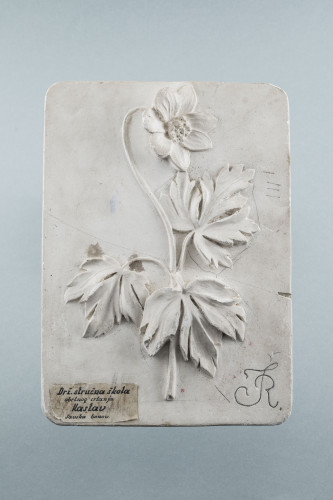 PPMHP 125323: Stabljika s cvijetom i lišćem akantusa