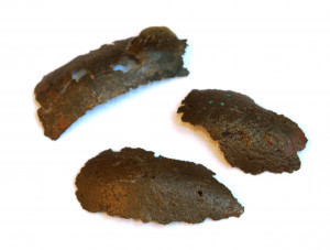 PPMHP 115627: Ulomci brončanog lima