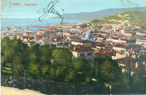 PPMHP 128567: Trieste. Panorama.