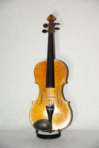 PPMHP 119750: Violina dr Kresnika iz 1928.