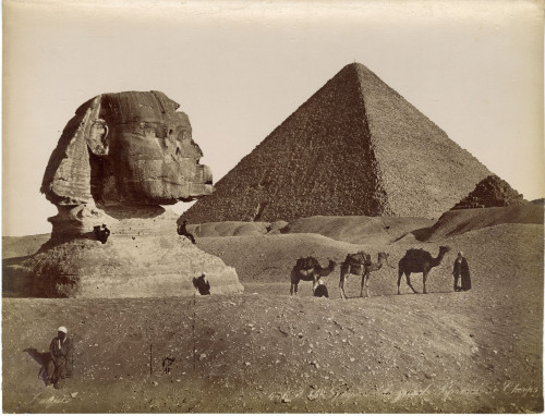 PPMHP 154786/28: N. 446.  Le Sphynx et la grande pyramide de Cheops.