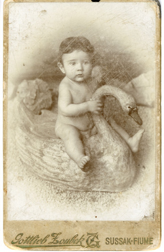 PPMHP 155009: Goli dječačić na dekorativnom labudu