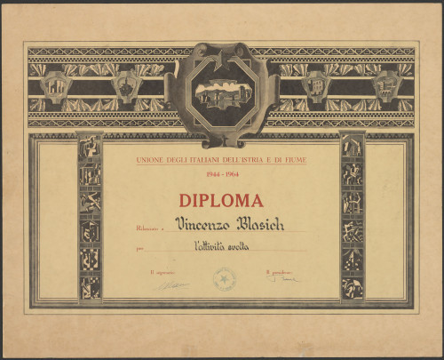 PPMHP 100845: Diploma 