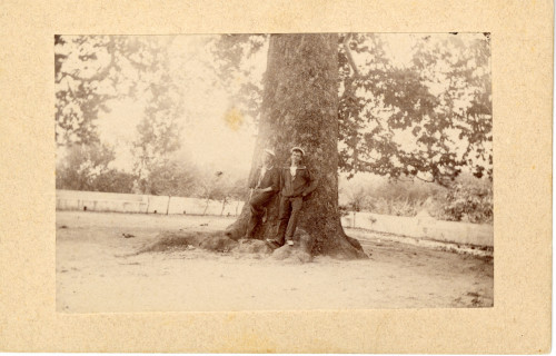 PPMHP 154989: Dva mornara ispred stogodišnjeg stabla