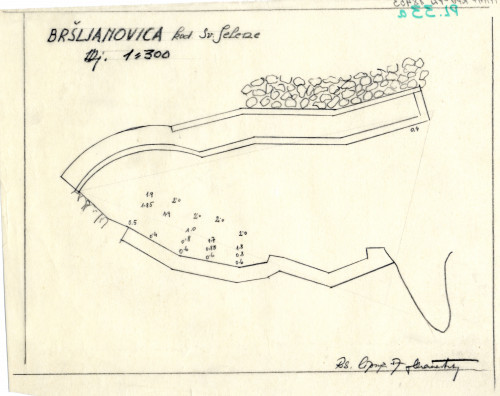 PPMHP 110229: Plan lučice Bršljanovica kod Sv. Jelene