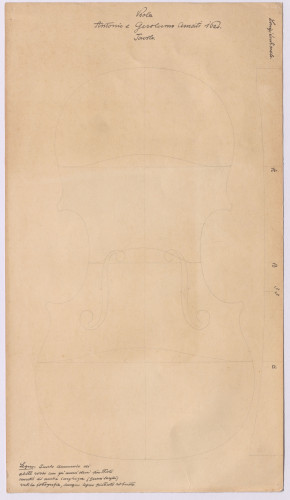 PPMHP 143720/7: Viola Tavolo  Antonio Girolamo Amati 1620. • Crtež zvučnice viole A. G. Amati 1620. s naznačenom uzdužnomi poprečnom zaobljenosti