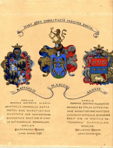 PPMHP 118660: Grb obitelji Rafaelis, Mažić i Agnese