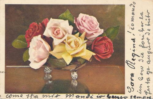 PPMHP 151274: Čestitka - ruže