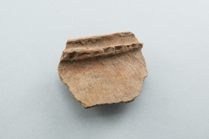PPMHP 152304: Ulomak keramičkog lonca