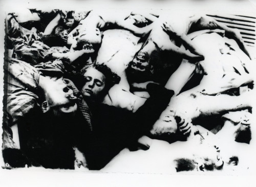 PPMHP 148521: Tijela stradalih u koncentracijskom logoru Dachau
