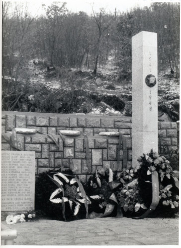 PPMHP 146963: Spomenik u Brnčićima