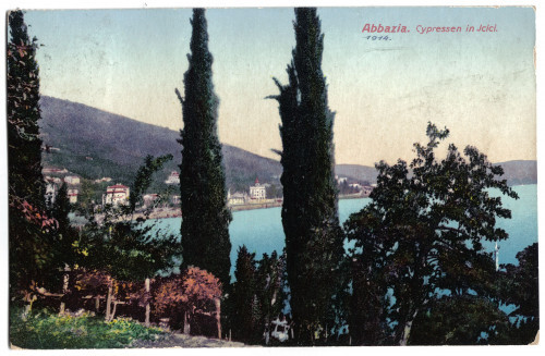 PPMHP 152800: Abbazia. Cypressen in Icici.
