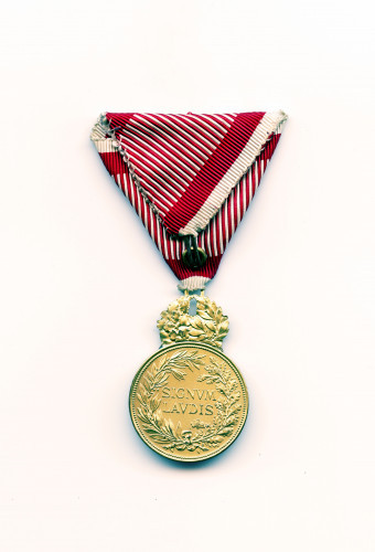 PPMHP 101653: Militärverdienstmedaille • Brončana medalja za vojne zasluge s likom cara Karla I.