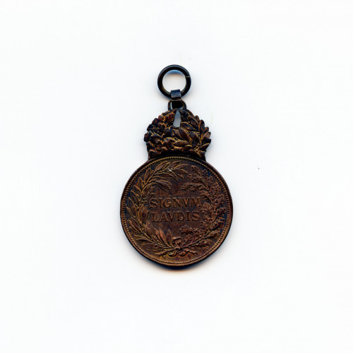 PPMHP 101684: Militärverdienstmedaille • Brončana medalja za vojne zasluge s likom cara Karla I.