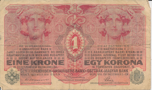 PPMHP 142045: 1 kruna - Austro-Ugarska Monarhija