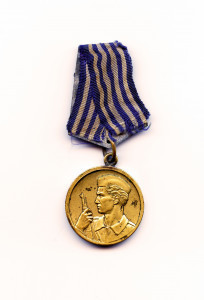 PPMHP 101663: Medalja za hrabrost