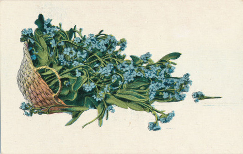 PPMHP 151273: Čestitka - plavo cvijeće u košari • Košara puna potočnica