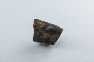PPMHP 121351: Ulomak keramike s nizom kružnim bradavica