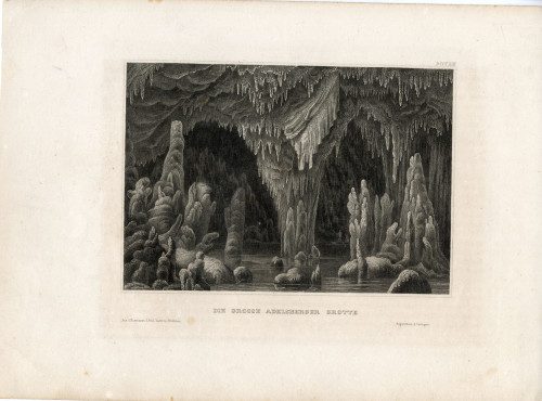 PPMHP 156519: Der grosse Adelsberger Grotte • Postojna
