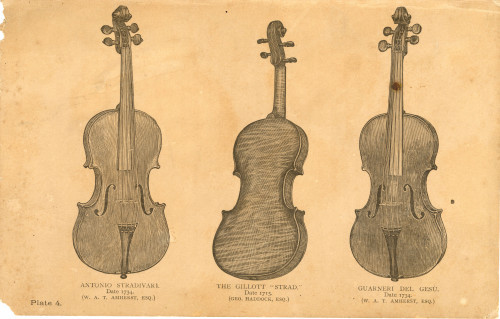 PPMHP 142765: Ilustracija violina iz publikacije • Jacobus Steiner. 1669. / Giuseppe Guarneri del Gesu 1735. (late vieuxtemps) / Niccolo Amati. Grand Pattern. 1641. (J. S. Cooke, ESQ.)