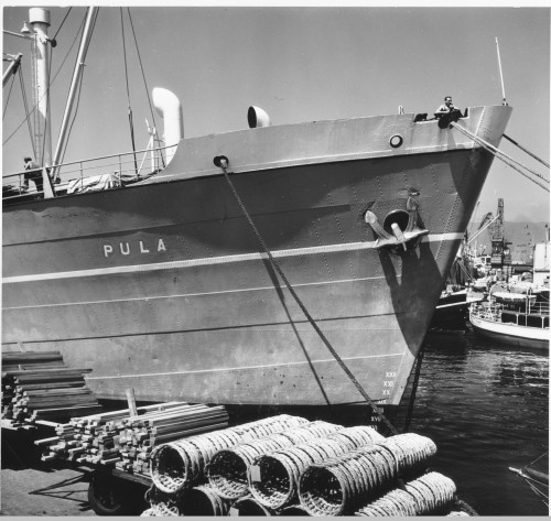 PPMHP 137698: Pogled na pramac broda Pula u riječkoj luci